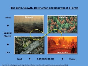 Giles Hutchins Slide2