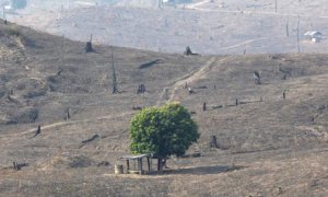 MDG : Green Economy and Forests REDD : hills of burnt out brown and deforested land in Thailand