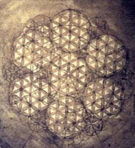 sacred flower egypt2